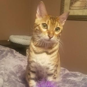 Meet your Posher, Tracy